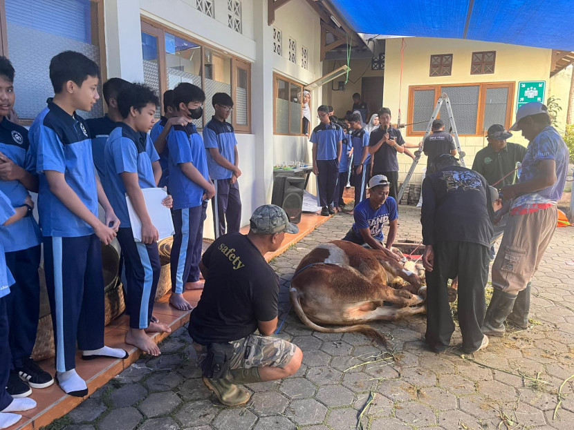 Penyembelihan hewan kurban